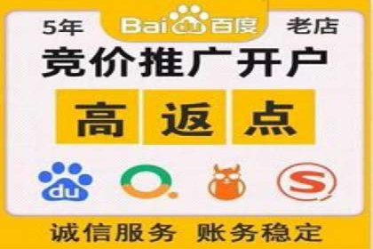 解析SEM主管在竞争激烈市场中的生存之道——以成功案例为鉴